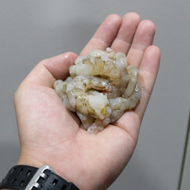 麻虾仁/毛虾仁 (Mua Shrimp Meat)