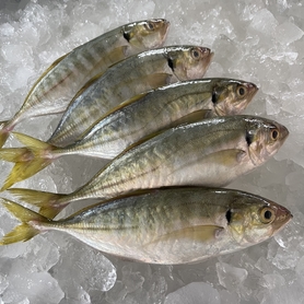 色拉鱼 (Ikan Selar/Yellowtail Scad Fish)