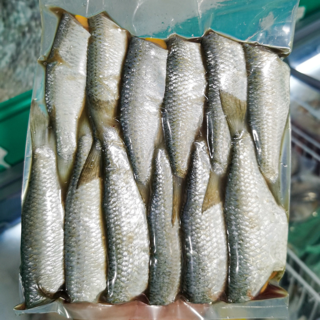 只仔鱼 (Mullet Fish)