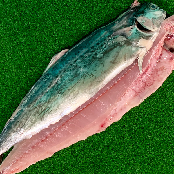 马鲛鱼 | 整只起肉 (Spotted Spanish Mackerel *Fish Fillet)