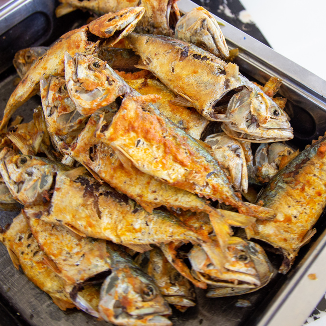 甘榜鱼 (Ikan Kembung)