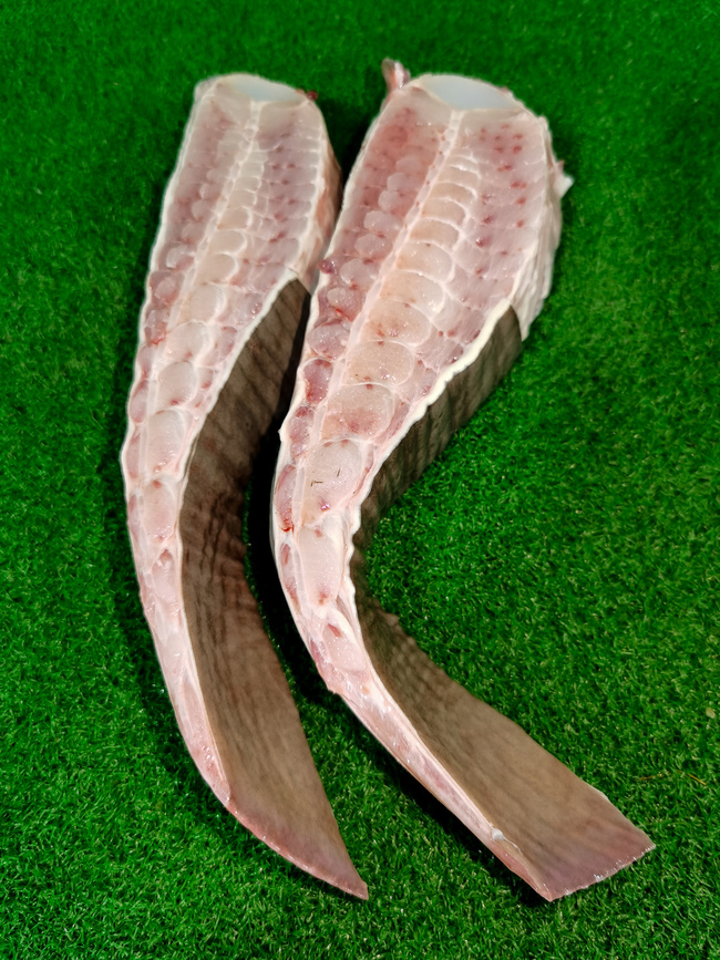 方鱼 / 魔鬼鱼 (1-3片/包) Stingray / Ikan Pari (1-3 slices)