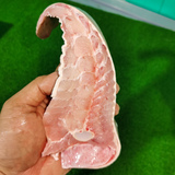 方鱼 / 魔鬼鱼 (1-3片/包) Stingray / Ikan Pari (1-3 slices)