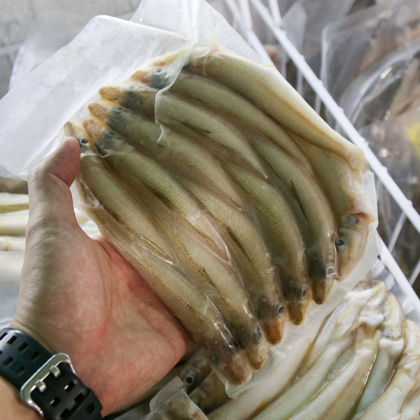 沙尖鱼 (Silver Sillago / Ikan Burus)