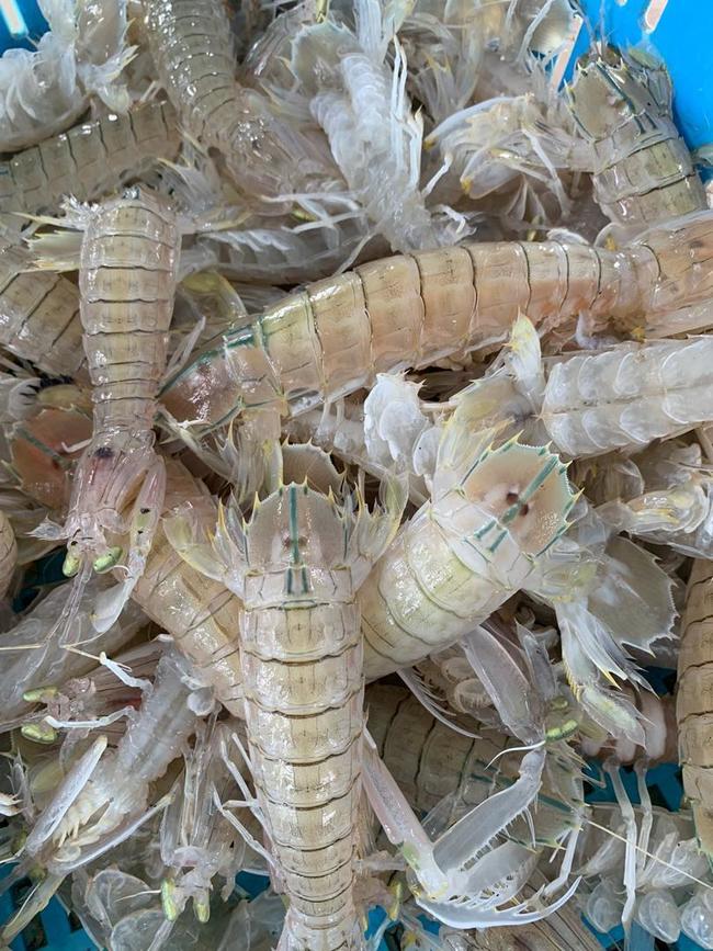 虾姑肉 (Mantis Prawn Meat)