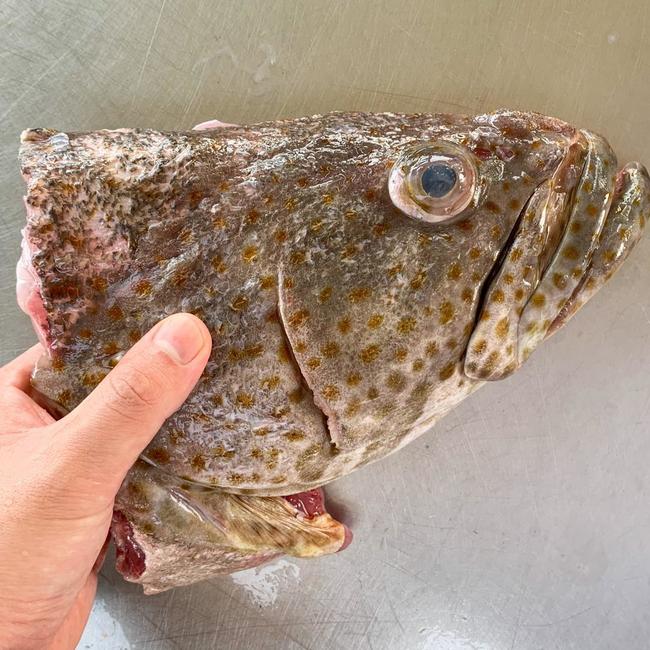 石斑鱼鱼片/鱼头/鱼尾 (1-2片/包) Grouper Fish Slice/Fish Head/Fish Tail (1-2 Slice)
