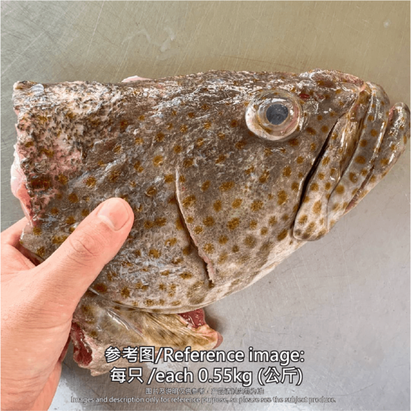 石斑鱼鱼片/鱼头/鱼尾 (1-2片/包) Grouper Fish Slice/Fish Head/Fish Tail (1-2 Slice)